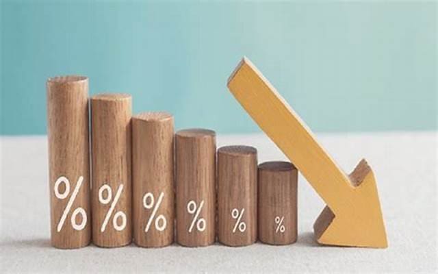 Uma maquete feita em madeira, mostra graficamente o decrescimento econômico