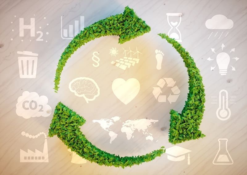 Um círculo com setas e várias imagens sobre sustentabilidade evidencia a necessidade de sustentabilidade dos ecossistemas