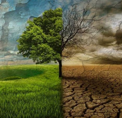 Imagem dividida mostrando, de um lado, uma paisagem verde e saudável com um árvore frondosa, e do outro lado um solo rachado e árido com a mesma árvore seca, simbolizando os efeitos extremos das mudanças climáticas.