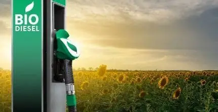 Bomba de biodiesel brasileira